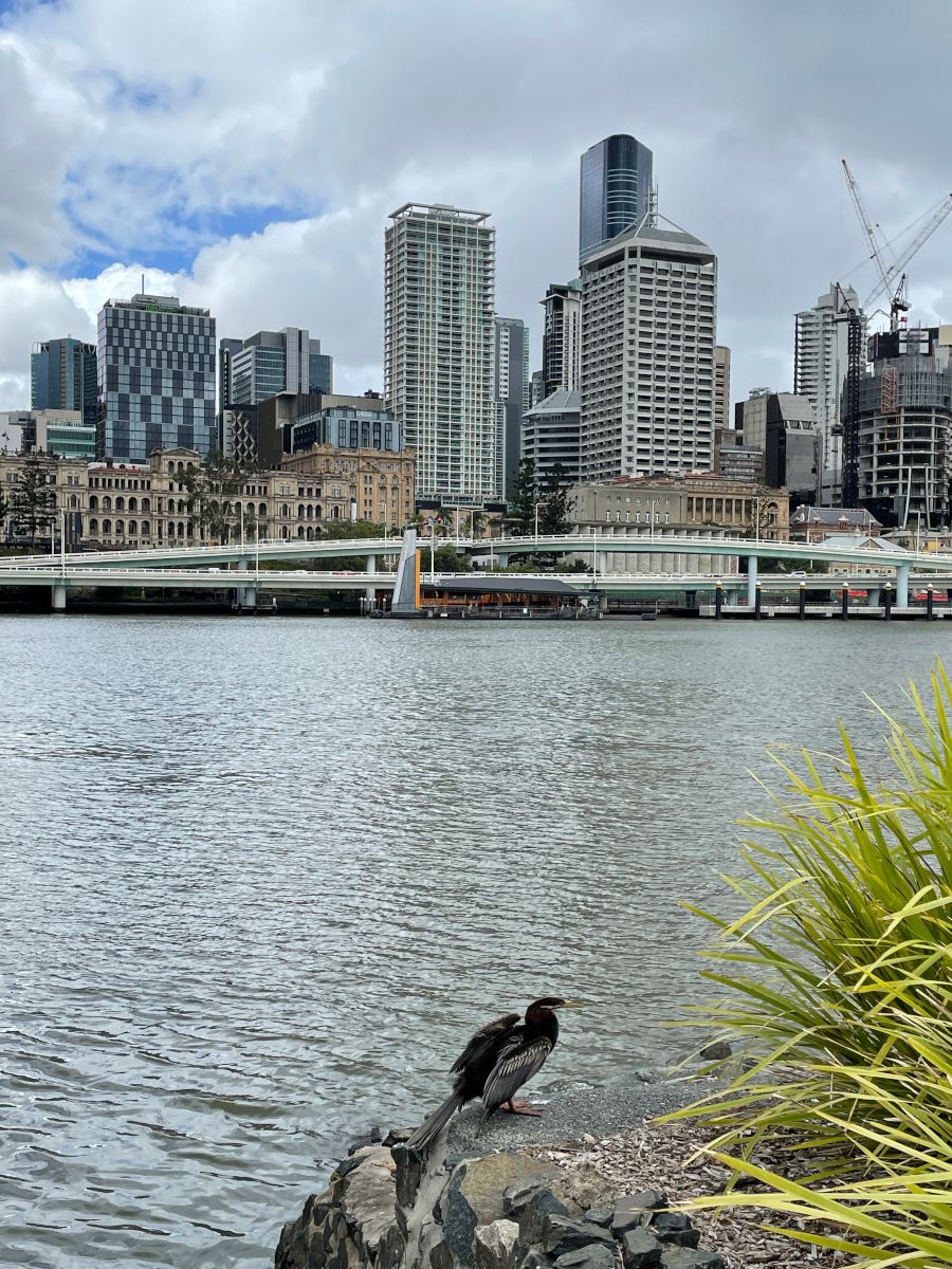 The Brisbane River and city buildings seen from South Bank