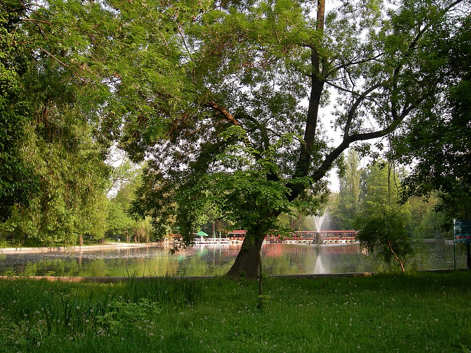 Lacul și vegetația din Grădina Cișmigiu, București