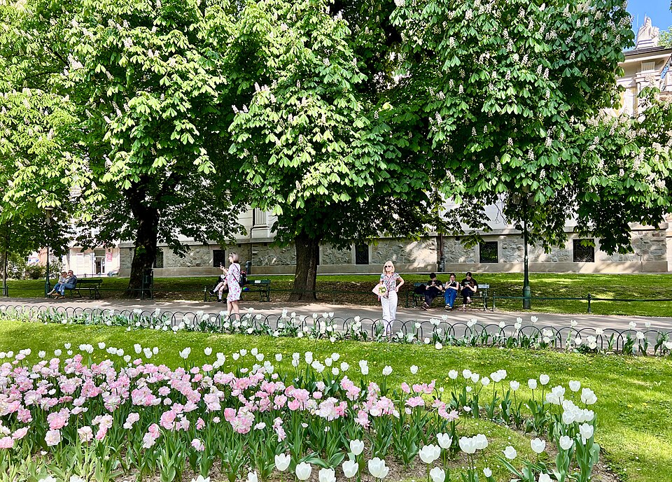 Wiosenne kwiaty i alejka spacerowa na krakowskich Plantach